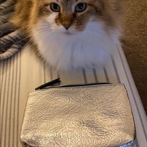 Ipsy makeup bag